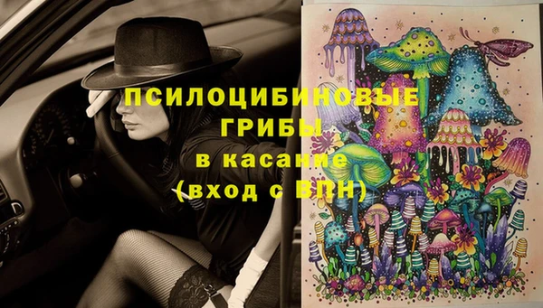 прущая мука Дмитровск