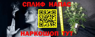 крисы Балахна
