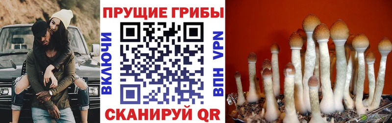 Галлюциногенные грибы Magic Shrooms MEGA сайт Долгопрудный