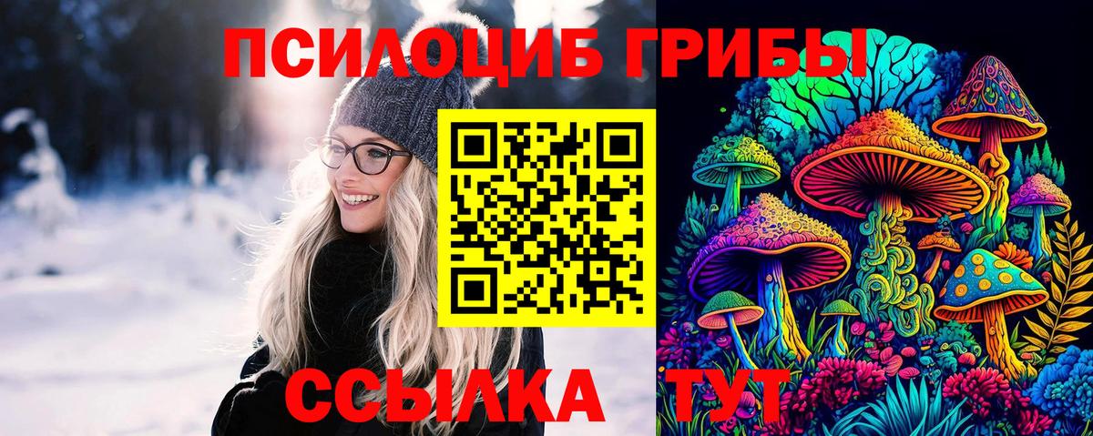 Галлюциногенные грибы GOLDEN TEACHER Долгопрудный